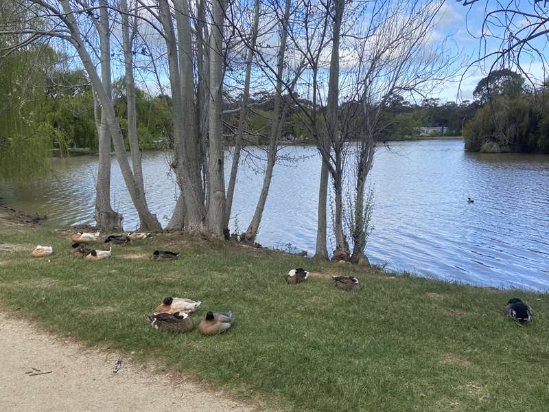 Maryborough Self Drive Tour