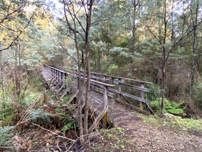 Marysville - Michaeldene Nature Trail Walk