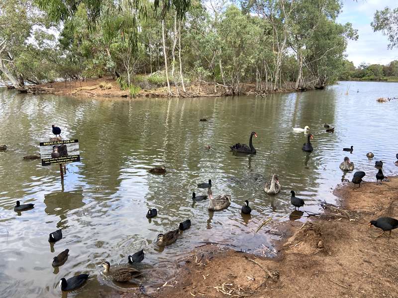 Melton Botanic Garden (Melton)