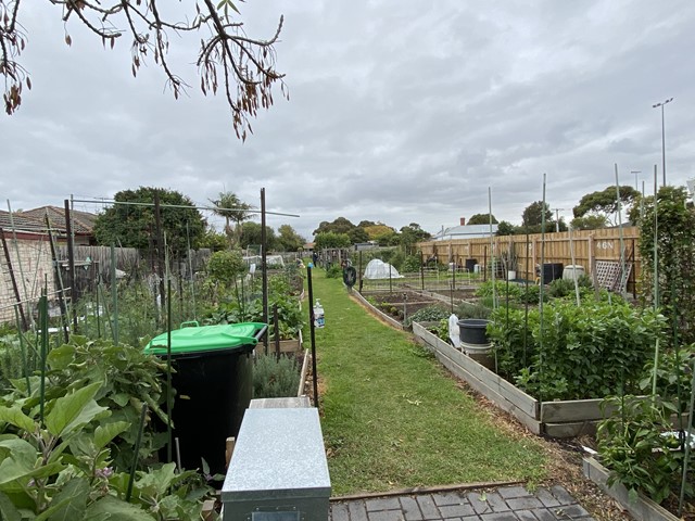 Mentone Community Garden Club (Mentone)