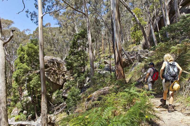 Raglan - Mount Buangor State Park