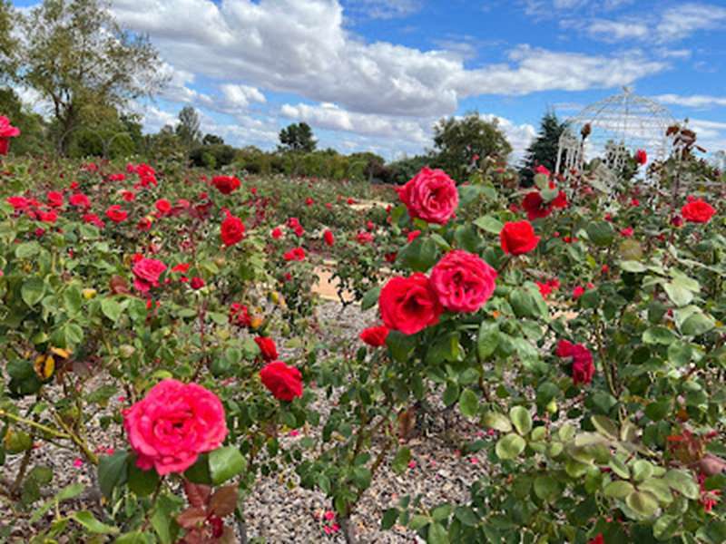 Mildura - Australian Inland Botanic Gardens