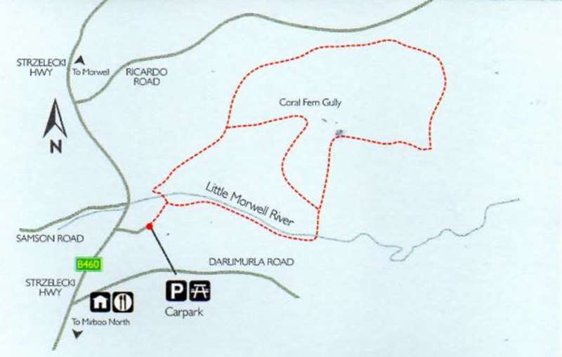 Mirboo North - Lyrebird Forest Walk Map