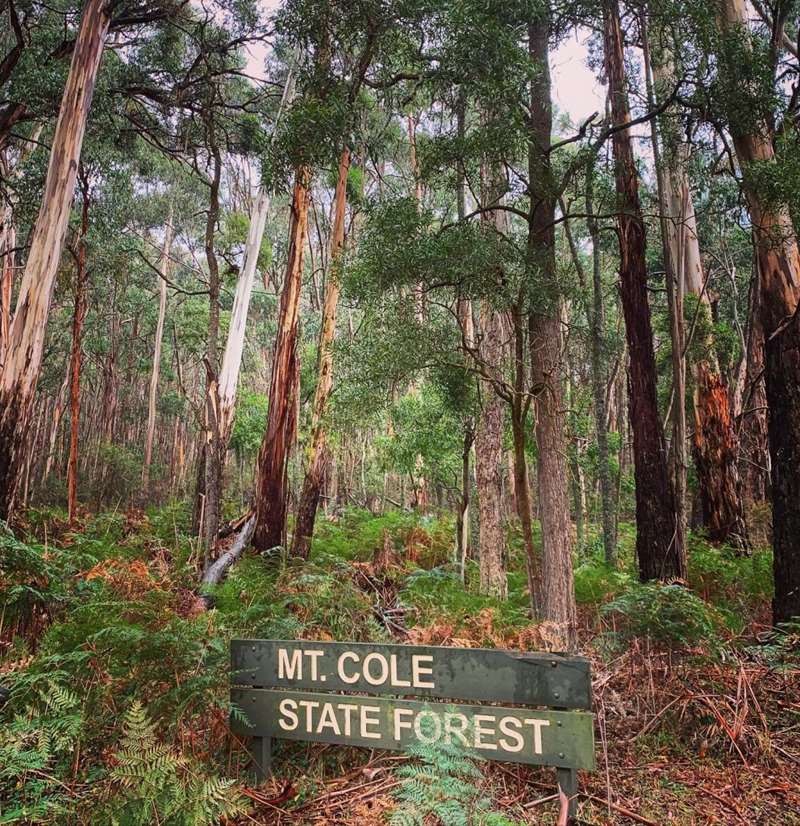 Mount Cole State Forest