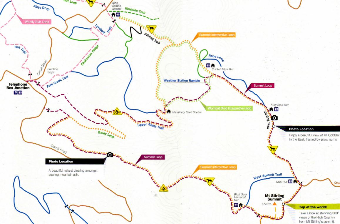 Mount Stirling - Summit Interpretive Loop Walk