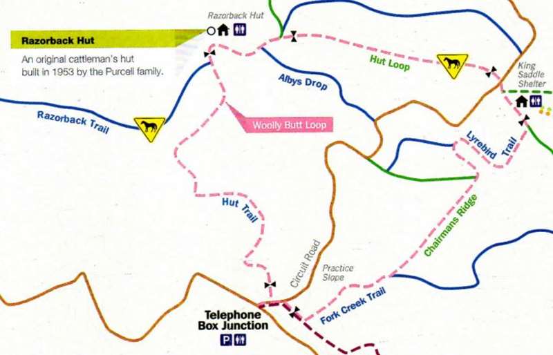 Mount Stirling - Woollybutt Loop Walk