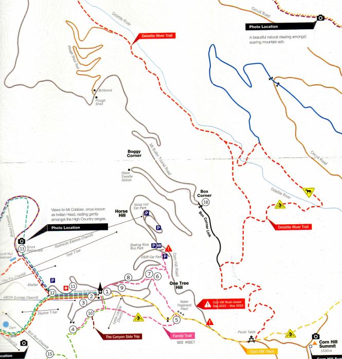 Mt Buller - Delatite River Trail Walk