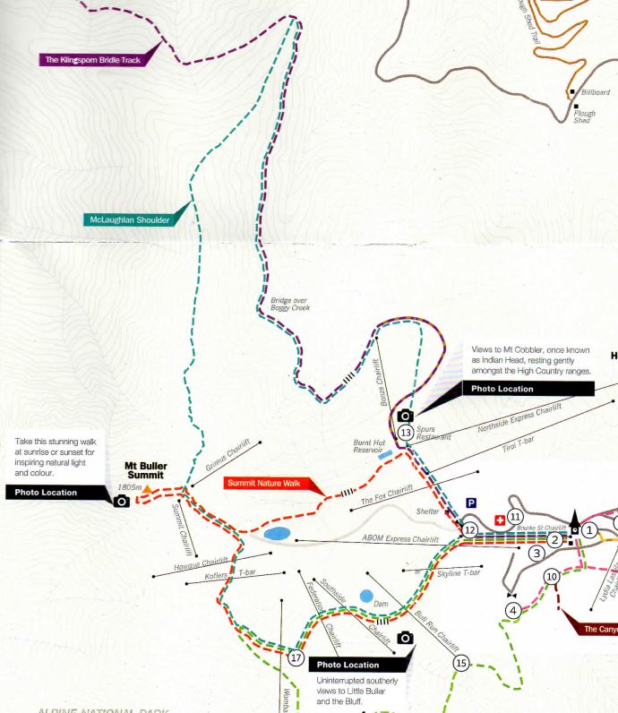 Mt Buller - McLaughlan Shoulder Trail Walk