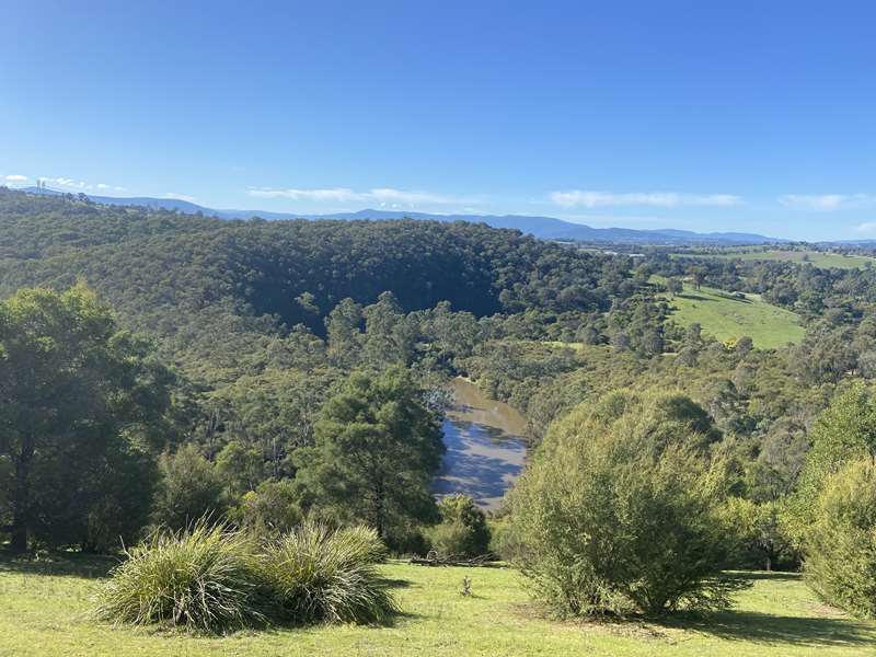 Mt Lofty Hill Walk (Wonga Park)