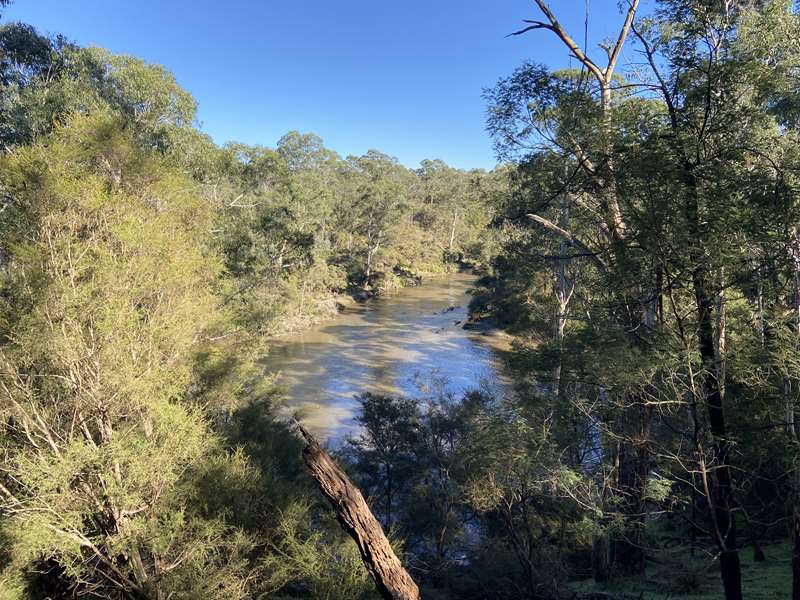 Mt Lofty Hill Walk (Wonga Park)