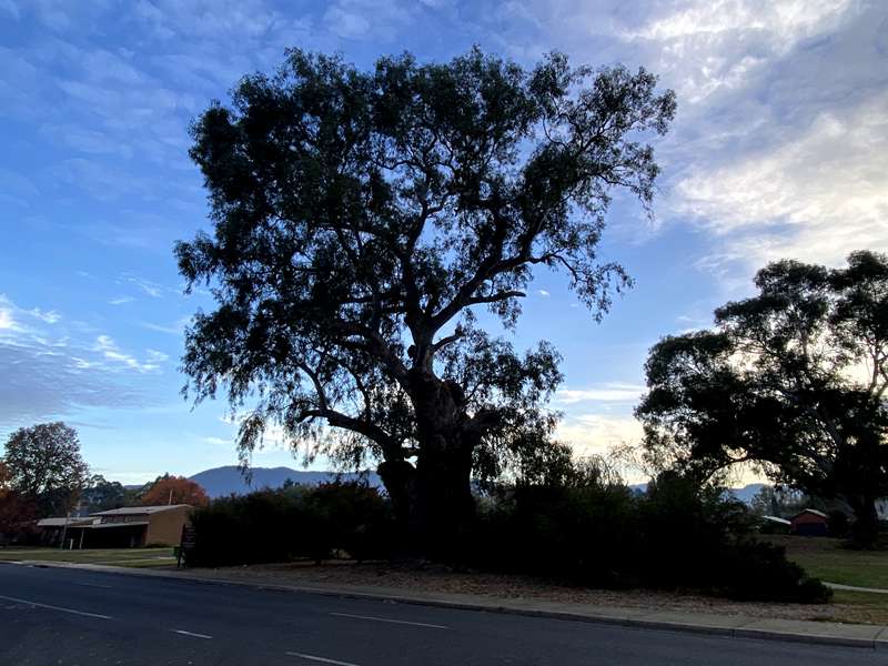 Myrtleford - Places of Historical Interest