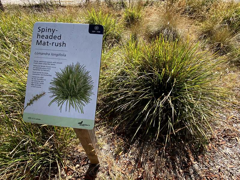 Newborough - Ollerton Avenue Bush Reserve