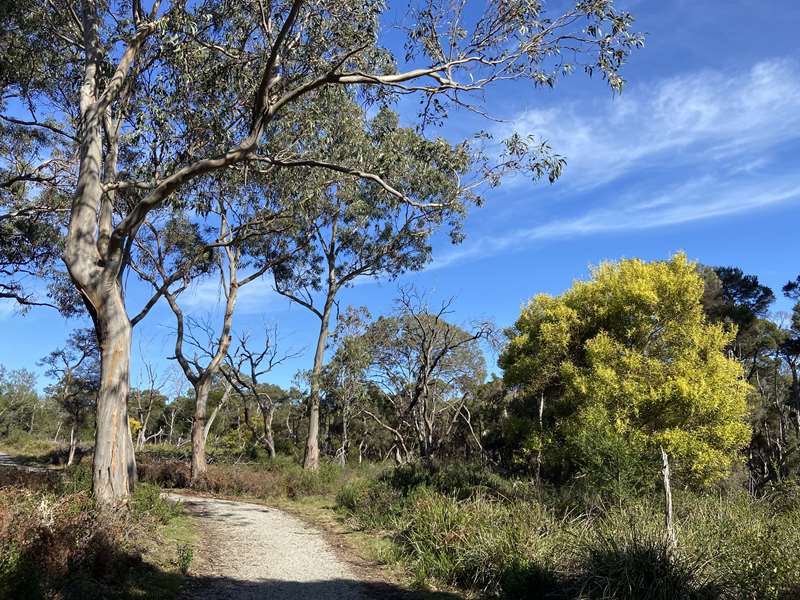 Oswin Roberts Reserve (Phillip Island)