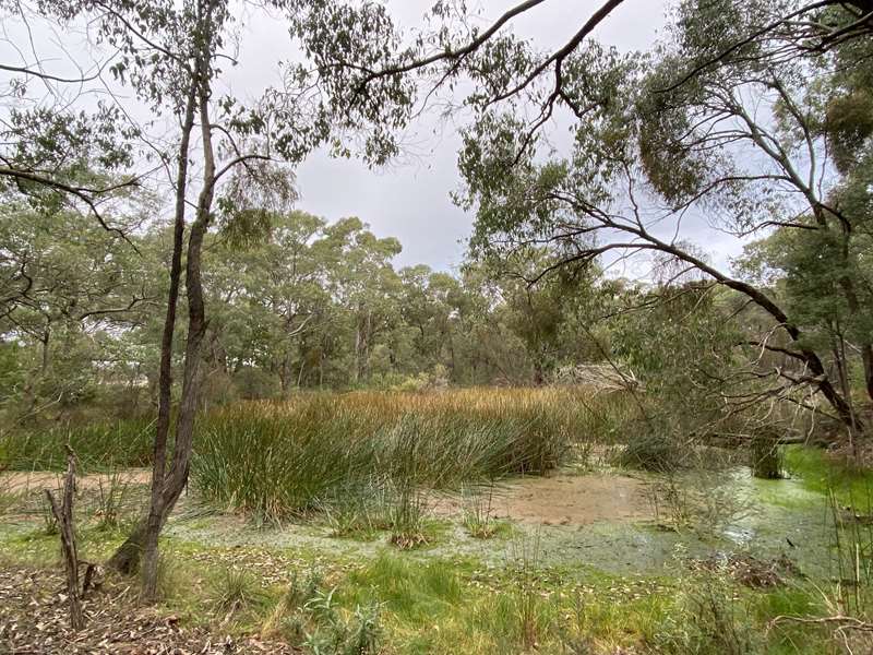 Outtrim Bushland Reserve