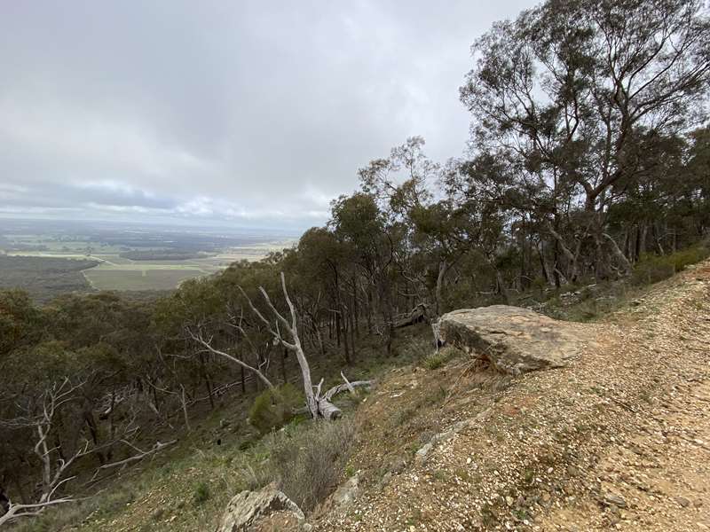 Percydale Goldfields Heritage Tour