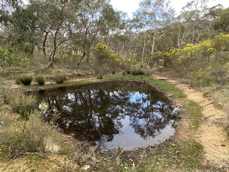 Percydale Goldfields Heritage Tour