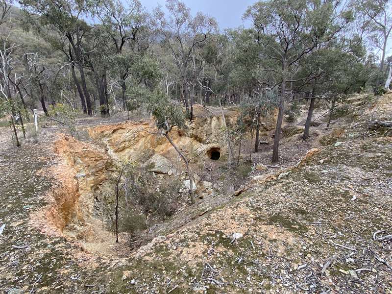 Percydale Goldfields Heritage Tour