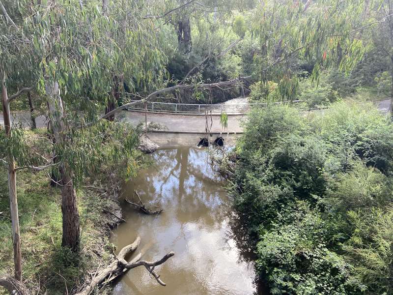 Plenty River Trail Walk (Greensborough)