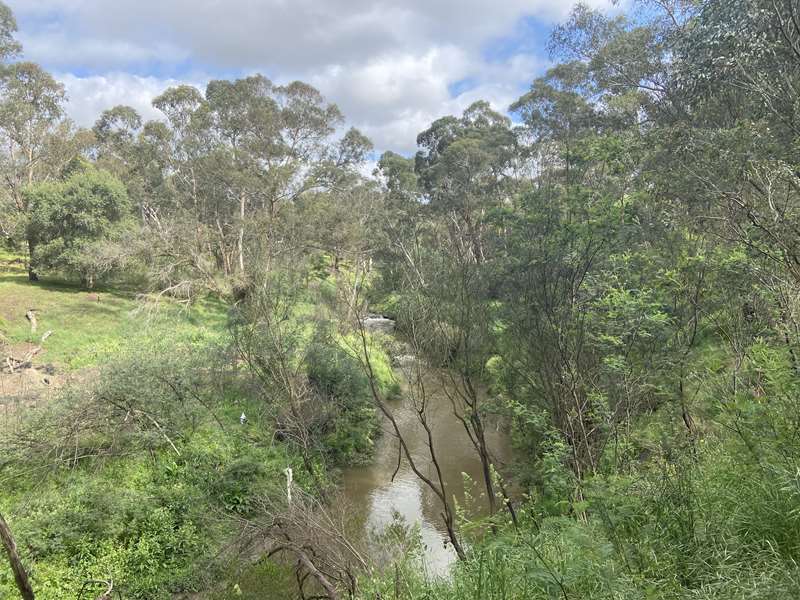 Plenty River Trail Walk (Greensborough)