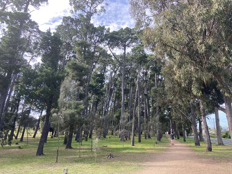 Price Park and Western Surrounds Flat Walk (Viewbank)