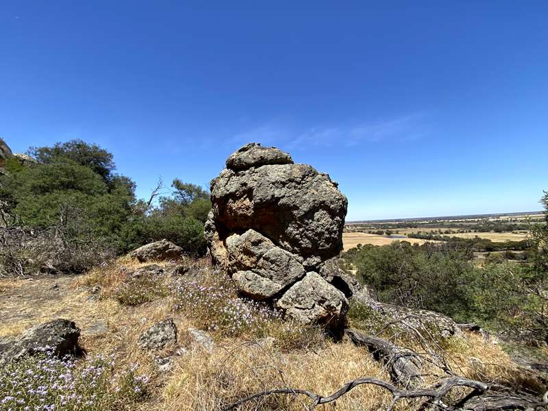 Pyramid Hill - Hill Walk