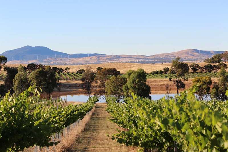 Pyrenees Cellar Door Wineries