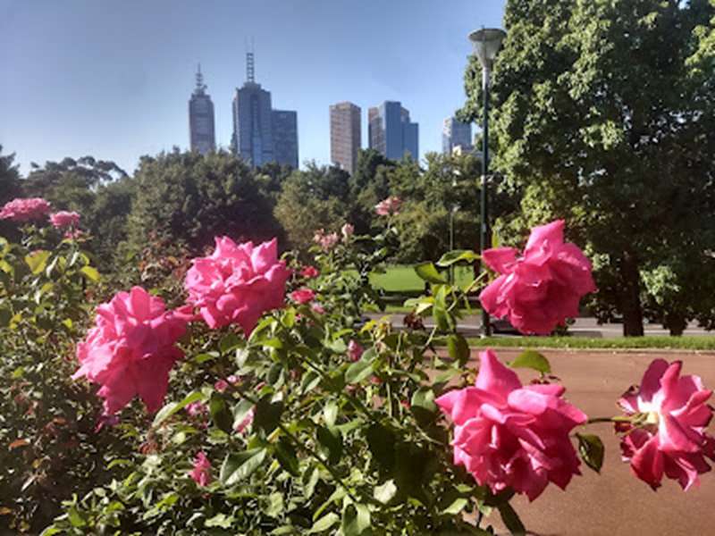 Queen Victoria Gardens (Central Melbourne)