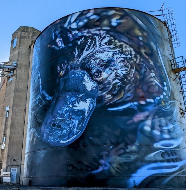 Rochester Silo Art - Northern Country - Outside Melbourne