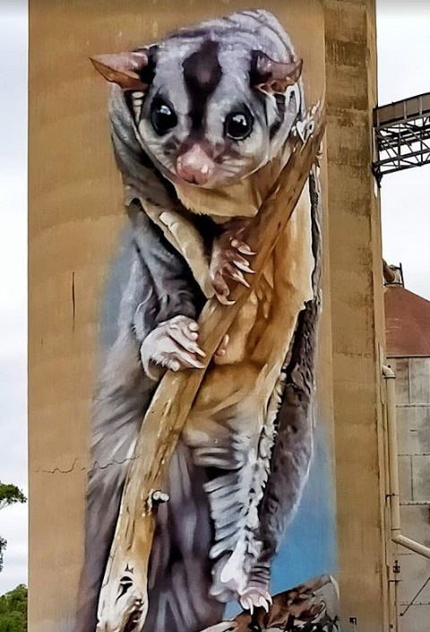 Rochester Silo Art