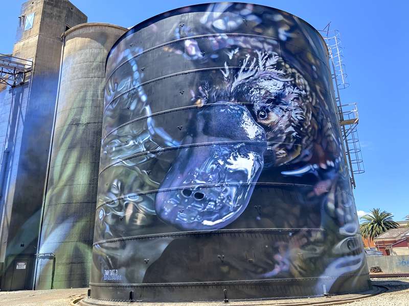 Rochester Silo Art