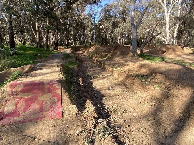 Spring Gully BMX Track (Bendigo)