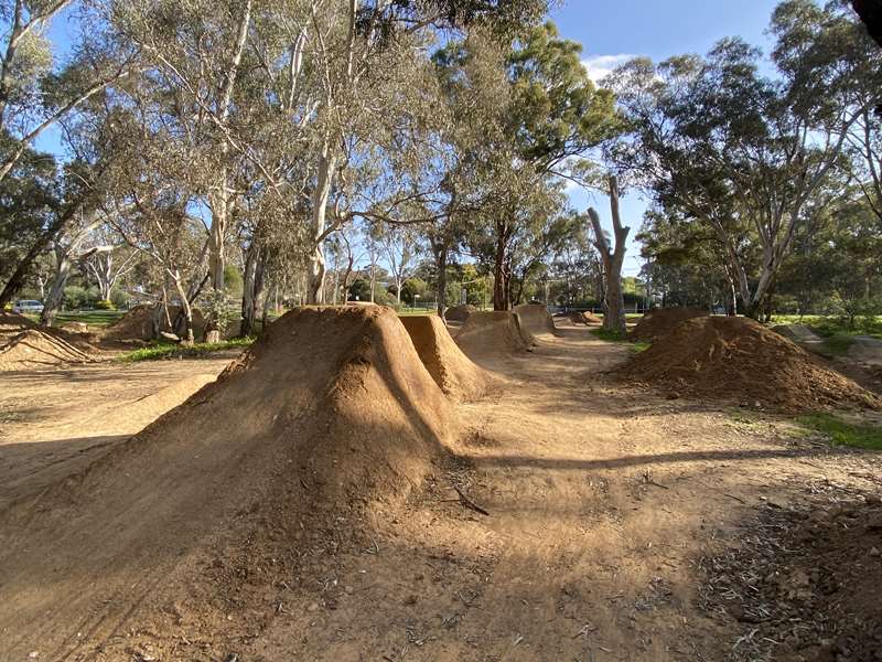 Spring Gully BMX Track (Bendigo)