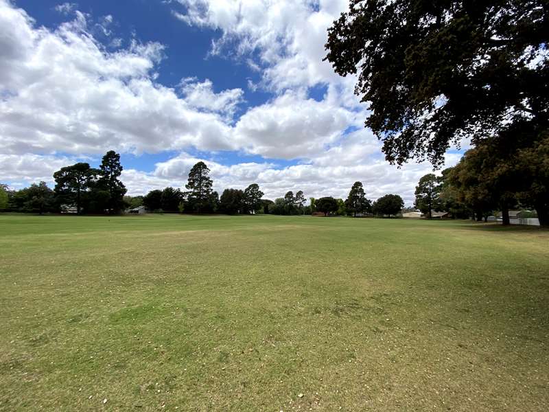 St Arnaud - King Georges Park Dog Off Leash Area