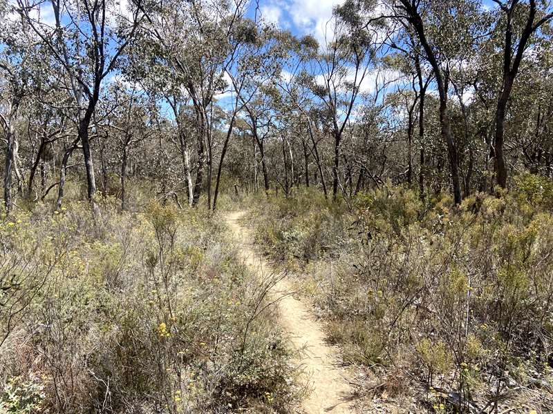 St Arnaud - Wax Garden Conservation Reserve