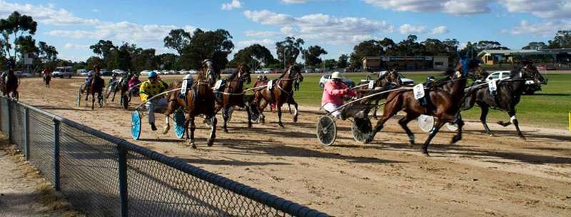 St Arnaud Harness Racing Club