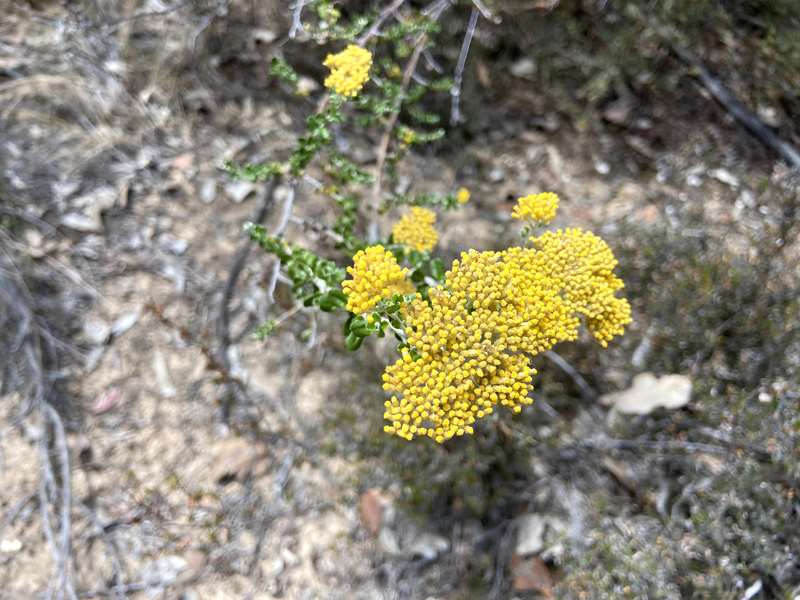 St Arnaud Historical Locations