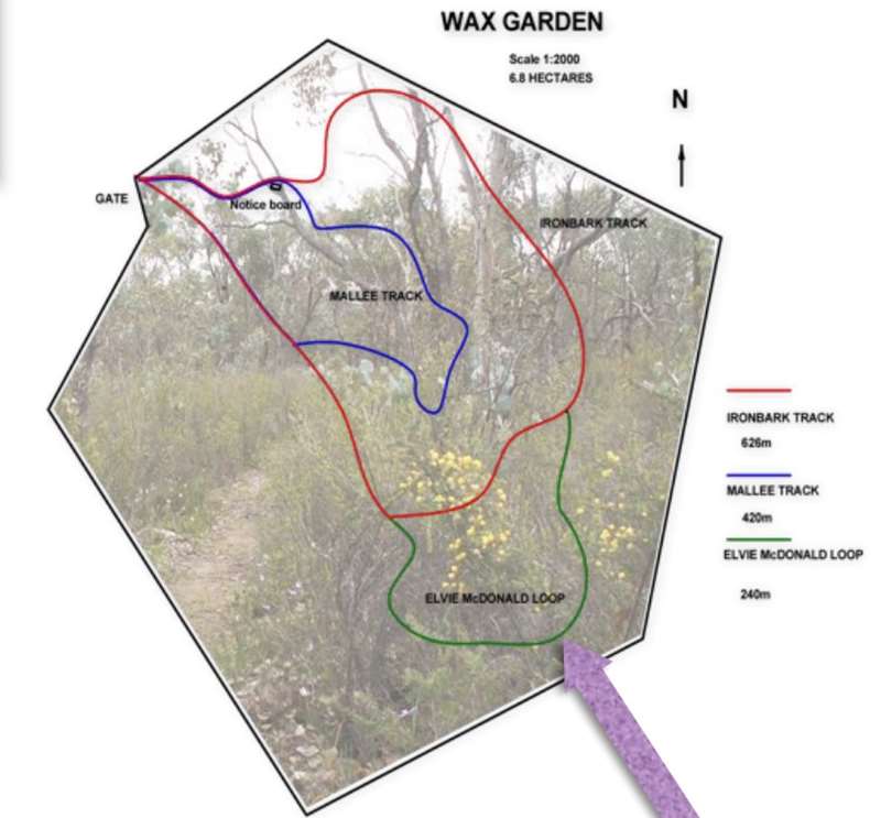 St Arnaud - Wax Garden Conservation Reserve