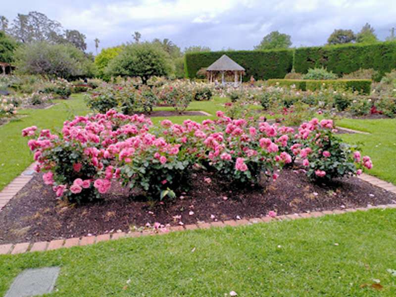 St Kilda Botanical Gardens (St Kilda)