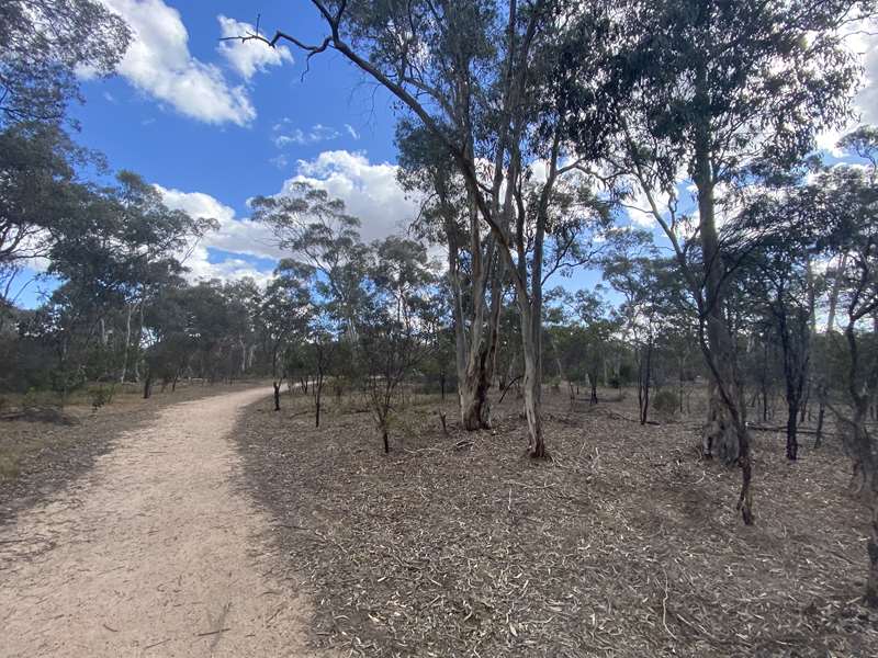 Stawell - Old Lake Oval Dog Off Leash Area