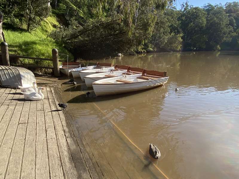 Studley Park Boathouse (Kew)