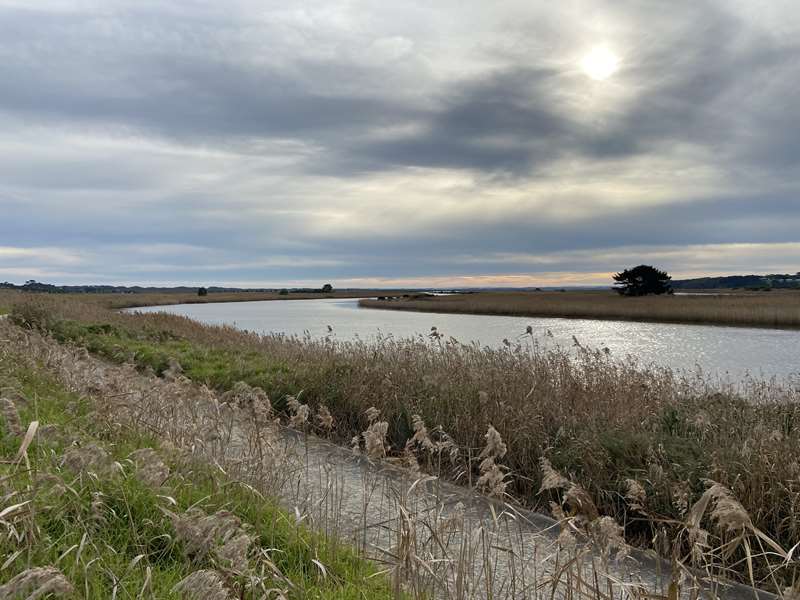 Tarwin Lower to Venus Bay Shared Pathway