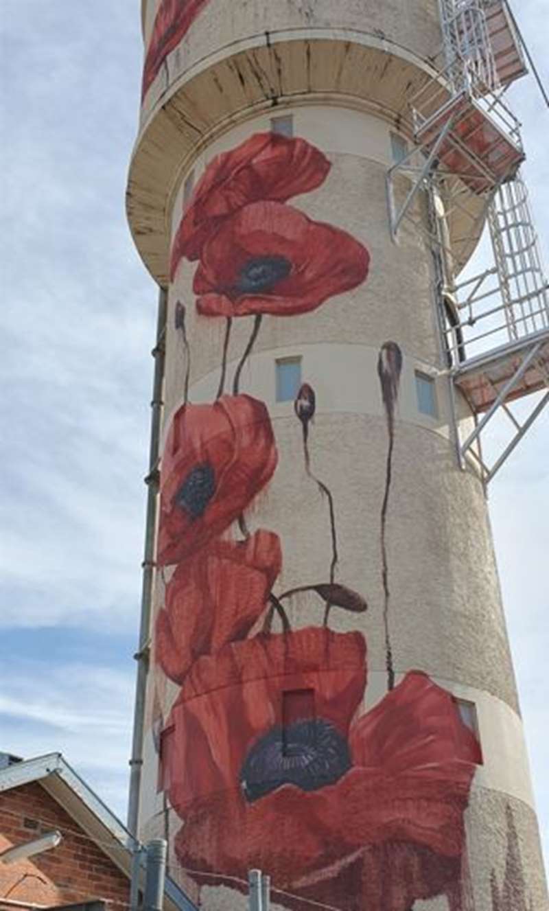 Tatura Water Tower Art