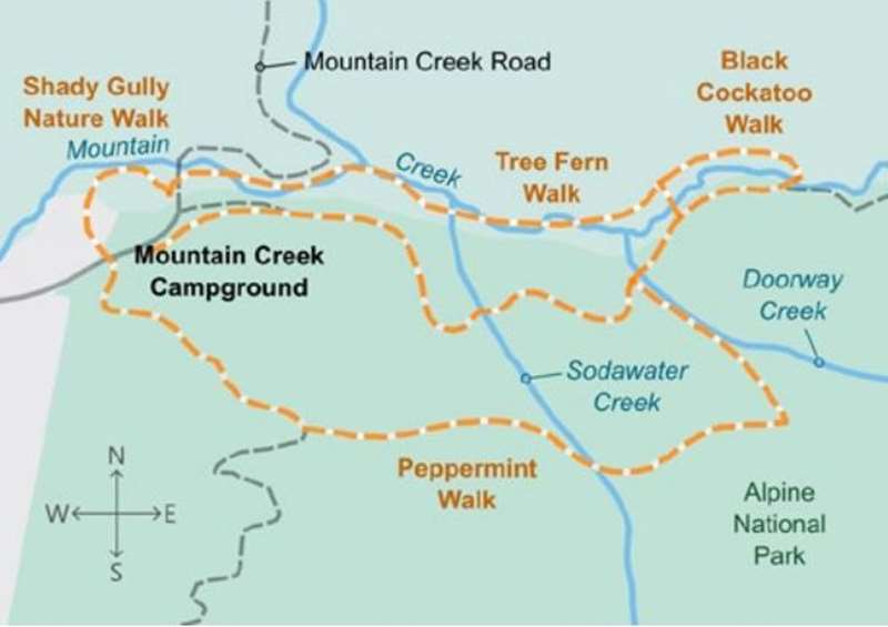 Tawonga - Shady Gully and Tree Fern Walk