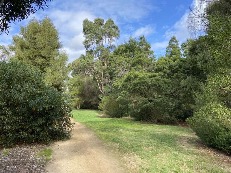 Taylors Creek Walking Track (Wallan)