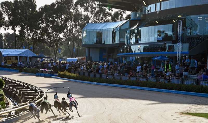 The Meadows Greyhound Racing (Broadmeadows)