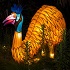 View Event: Winter Light Festivals in Melbourne and Regional Victoria
