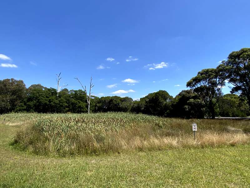 Toongabbie Heritage Town Track