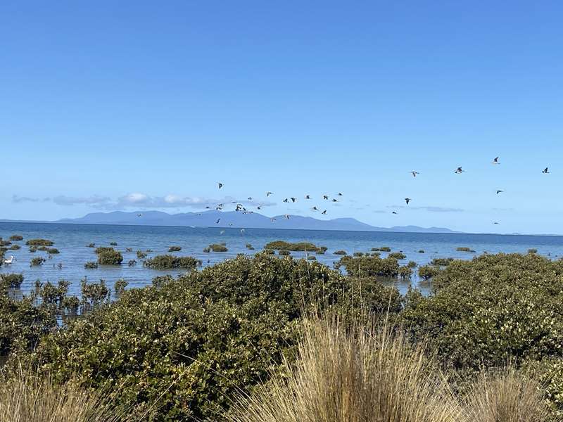 Toora Bird Hide and Boardwalk