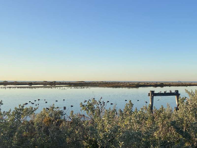 Truganina Park Trail and Laverton Creek Spit Walk (Altona)