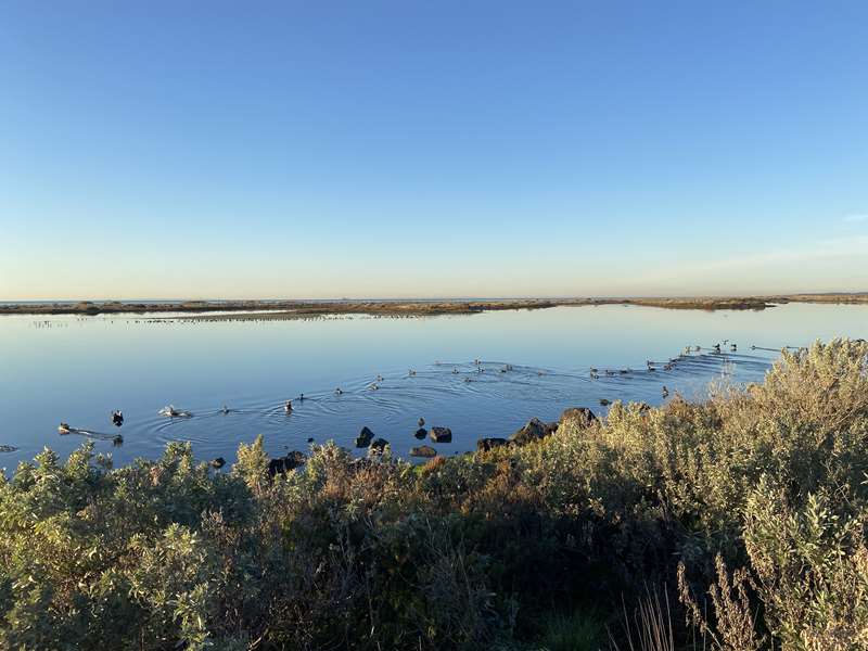 Truganina Park Trail and Laverton Creek Spit Walk (Altona)